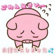 ヒメ日記 2025/08/18 16:42 投稿 ちり 山梨甲府甲斐ちゃんこ