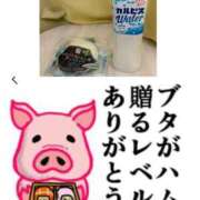 ヒメ日記 2025/08/19 00:01 投稿 ちり 山梨甲府甲斐ちゃんこ