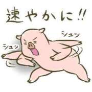 ヒメ日記 2025/08/20 14:20 投稿 ちり 山梨甲府甲斐ちゃんこ