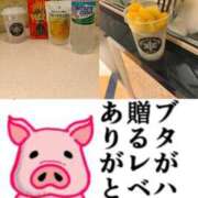 ヒメ日記 2025/08/29 13:33 投稿 ちり 山梨甲府甲斐ちゃんこ