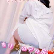 ヒメ日記 2025/08/30 13:00 投稿 ちり 山梨甲府甲斐ちゃんこ