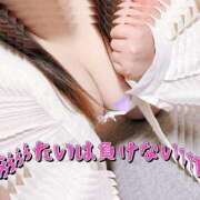 ヒメ日記 2025/09/12 18:40 投稿 ちり 山梨甲府甲斐ちゃんこ