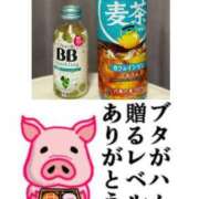 ヒメ日記 2025/09/13 23:03 投稿 ちり 山梨甲府甲斐ちゃんこ