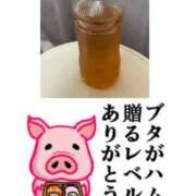 ヒメ日記 2025/09/13 21:43 投稿 ちり 山梨甲府甲斐ちゃんこ