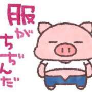 ヒメ日記 2025/09/14 19:43 投稿 ちり 山梨甲府甲斐ちゃんこ