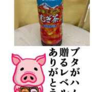 ヒメ日記 2025/09/14 20:07 投稿 ちり 山梨甲府甲斐ちゃんこ