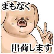 ヒメ日記 2025/09/24 19:11 投稿 ちり 山梨甲府甲斐ちゃんこ