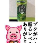 ヒメ日記 2025/09/24 23:25 投稿 ちり 山梨甲府甲斐ちゃんこ