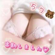 ヒメ日記 2025/09/26 16:22 投稿 ちり 山梨甲府甲斐ちゃんこ