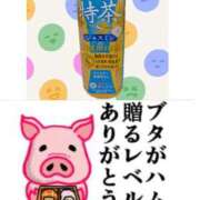 ヒメ日記 2025/09/30 18:20 投稿 ちり 山梨甲府甲斐ちゃんこ