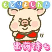 ヒメ日記 2025/10/15 18:25 投稿 ちり 山梨甲府甲斐ちゃんこ