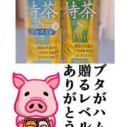 ヒメ日記 2025/10/15 19:05 投稿 ちり 山梨甲府甲斐ちゃんこ