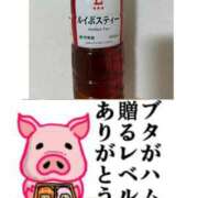 ヒメ日記 2025/10/18 18:25 投稿 ちり 山梨甲府甲斐ちゃんこ