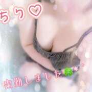 ヒメ日記 2025/10/20 15:15 投稿 ちり 山梨甲府甲斐ちゃんこ