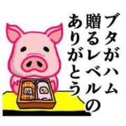 ヒメ日記 2025/10/25 15:49 投稿 ちり 山梨甲府甲斐ちゃんこ