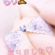 ヒメ日記 2025/11/14 16:13 投稿 ちり 山梨甲府甲斐ちゃんこ