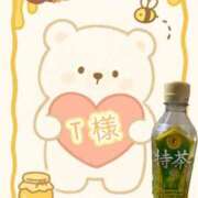 ヒメ日記 2025/11/14 19:05 投稿 ちり 山梨甲府甲斐ちゃんこ