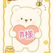 ヒメ日記 2025/11/15 00:50 投稿 ちり 山梨甲府甲斐ちゃんこ