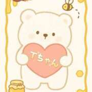 ヒメ日記 2025/11/21 20:37 投稿 ちり 山梨甲府甲斐ちゃんこ