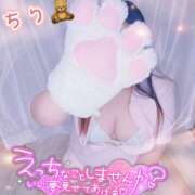 ヒメ日記 2025/11/22 16:40 投稿 ちり 山梨甲府甲斐ちゃんこ