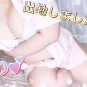 ヒメ日記 2025/11/23 15:11 投稿 ちり 山梨甲府甲斐ちゃんこ