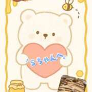 ヒメ日記 2025/11/26 19:58 投稿 ちり 山梨甲府甲斐ちゃんこ