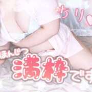 ヒメ日記 2025/11/29 19:01 投稿 ちり 山梨甲府甲斐ちゃんこ