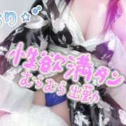 ヒメ日記 2025/12/02 15:10 投稿 ちり 山梨甲府甲斐ちゃんこ