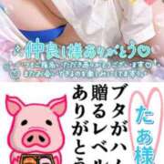 ヒメ日記 2025/12/08 21:16 投稿 ちり 山梨甲府甲斐ちゃんこ