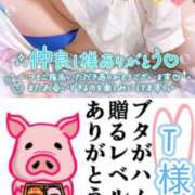 ヒメ日記 2025/12/11 02:45 投稿 ちり 山梨甲府甲斐ちゃんこ