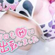 ヒメ日記 2025/12/12 15:11 投稿 ちり 山梨甲府甲斐ちゃんこ