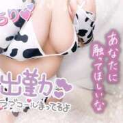 ヒメ日記 2025/12/16 15:07 投稿 ちり 山梨甲府甲斐ちゃんこ