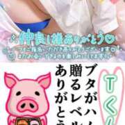 ヒメ日記 2025/12/17 20:51 投稿 ちり 山梨甲府甲斐ちゃんこ