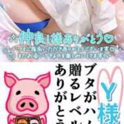 ヒメ日記 2025/12/17 23:47 投稿 ちり 山梨甲府甲斐ちゃんこ