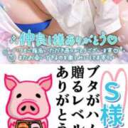 ヒメ日記 2025/12/19 22:14 投稿 ちり 山梨甲府甲斐ちゃんこ