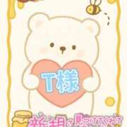 ヒメ日記 2025/12/31 14:32 投稿 ちり 山梨甲府甲斐ちゃんこ