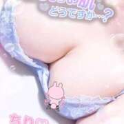 ヒメ日記 2026/01/27 19:02 投稿 ちり 山梨甲府甲斐ちゃんこ