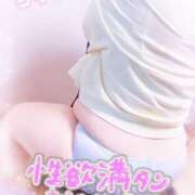 ヒメ日記 2026/02/04 18:30 投稿 ちり 山梨甲府甲斐ちゃんこ