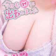 ヒメ日記 2026/02/14 15:23 投稿 ちり 山梨甲府甲斐ちゃんこ