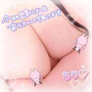 ヒメ日記 2026/03/23 15:20 投稿 ちり 山梨甲府甲斐ちゃんこ