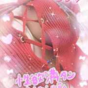 ヒメ日記 2026/04/20 15:02 投稿 ちり 山梨甲府甲斐ちゃんこ