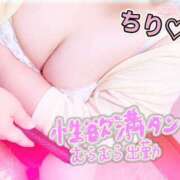 ヒメ日記 2026/05/11 15:03 投稿 ちり 山梨甲府甲斐ちゃんこ