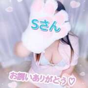 ヒメ日記 2026/05/20 19:45 投稿 ちり 山梨甲府甲斐ちゃんこ