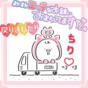 ヒメ日記 2026/07/31 22:53 投稿 ちり 山梨甲府甲斐ちゃんこ
