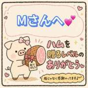ヒメ日記 2026/08/08 17:51 投稿 ちり 山梨甲府甲斐ちゃんこ