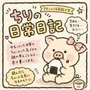 ヒメ日記 2026/09/08 22:02 投稿 ちり 山梨甲府甲斐ちゃんこ