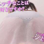 ヒメ日記 2026/09/20 20:45 投稿 ちり 山梨甲府甲斐ちゃんこ