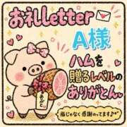 ヒメ日記 2026/10/02 16:30 投稿 ちり 山梨甲府甲斐ちゃんこ