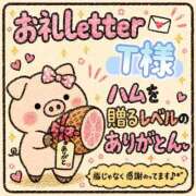 ヒメ日記 2026/10/16 18:29 投稿 ちり 山梨甲府甲斐ちゃんこ