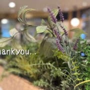 ヒメ日記 2025/09/15 16:05 投稿 みつき 奥鉄オクテツ東京店（デリヘル市場）